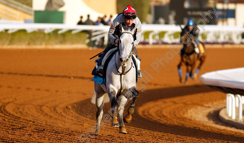 Art-Power-0002 
 ART POWER (David Allan) training for The 1351 Turf Sprint
King Abdulaziz Racecourse, Saudi Arabia 21 Feb 2024 - Pic Steven Cargill / Racingfotos.com