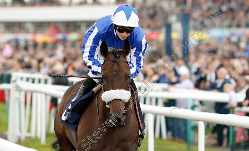 Bye-Bye-Hong-Kong-0001 
 BYE BYE HONG KONG (David Probert)
Newmarket 15 Sep 2018 - Pic Steven Cargill / Racingfotos.com