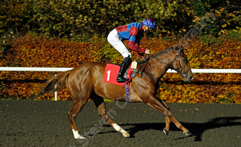 Ahlawi-0001 
 AHLAWI (James Doyle)
Kempton 11 Nov 2020 - Pic Steven Cargill / Racingfotos.com