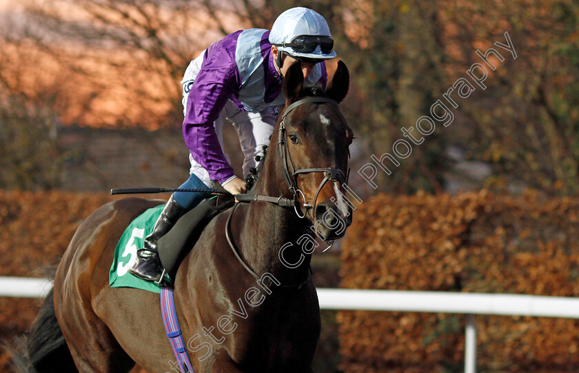 Never-Dark-0002 
 NEVER DARK (David Probert)
Kempton 4 Dec 2019 - Pic Steven Cargill / Racingfotos.com