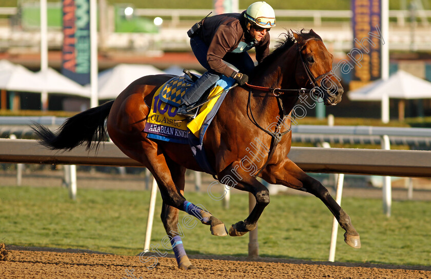 Arabian-Knight-0003 
 ARABIAN KNIGHT training for The Breeders' Cup Classic
Santa Anita USA, 30 Oct 2023 - Pic Steven Cargill / Racingfotos.com