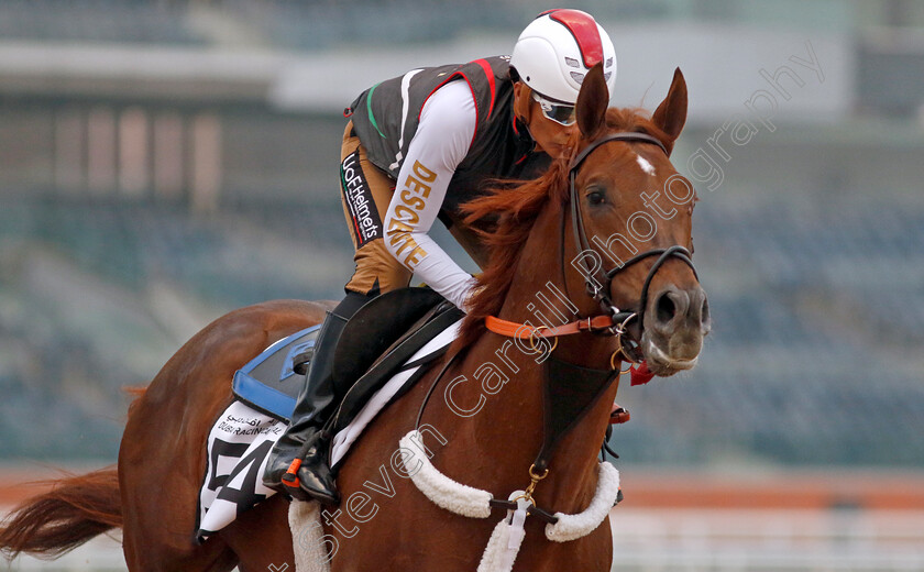 Clapton-0002 
 CLAPTON training at the Dubai Racing Carnival
Meydan 1 Feb 2024 - Pic Steven Cargill / Racingfotos.com