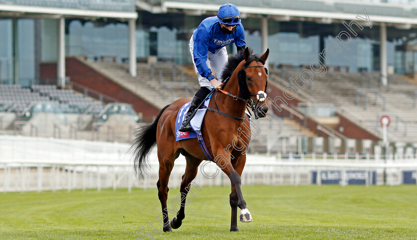 Dubai-Souq-0001 
 DUBAI SOUQ (Callum Shepherd)
York 12 May 2021 - Pic Steven Cargill / Racingfotos.com