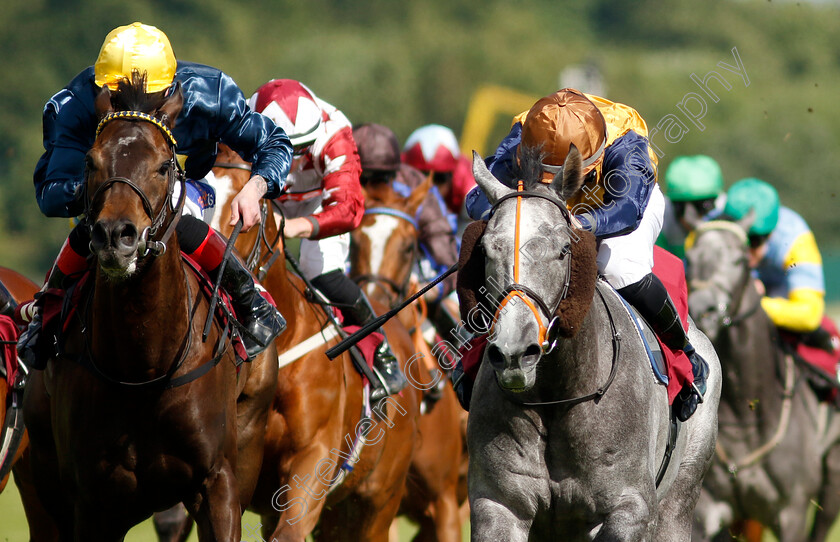 Pedro-Valentino-0002 
 PEDRO VALENTINO (right, Richard Kingscote) beats TOURIST (left) in The Betfred Supports Jack Berry House Handicap
Haydock 8 Jun 2024 - Pic Steven Cargill / Racingfotos.com