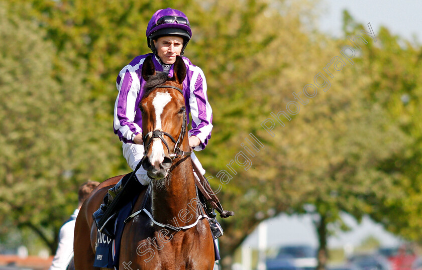 Happily-0001 
 HAPPILY (Ryan Moore) Newmarket 6 May 2018 - Pic Steven Cargill / Racingfotos.com