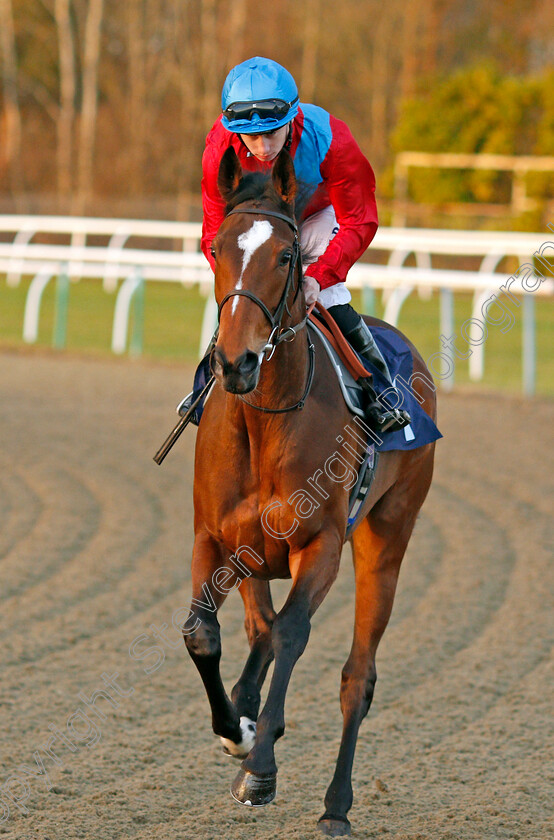 Frown-0001 
 FROWN (Oisin Murphy) Lingfield 10 Jan 2018 - Pic Steven Cargill / Racingfotos.com