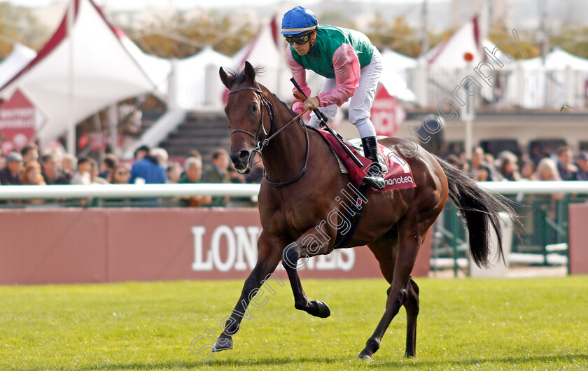 Chachnak-0001 
 CHACHNAK (C Demuro)
Longchamp 6 Oct 2019 - Pic Steven Cargill / Racingfotos.com