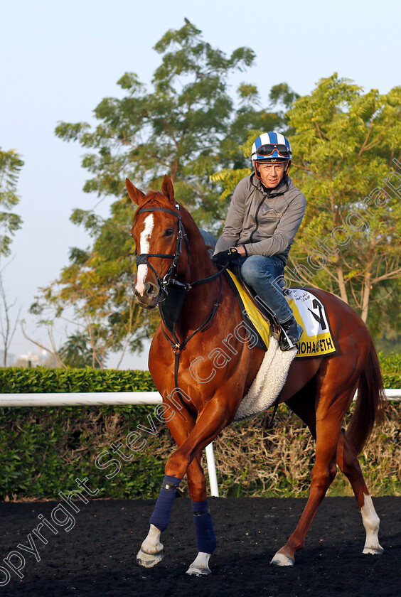 Mohaafeth-0008 
 MOHAAFETH (Jim Crowley) training for The Dubai Turf
Meydan, Dubai, 24 Mar 2022 - Pic Steven Cargill / Racingfotos.com