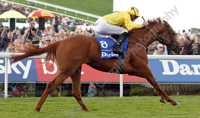 Sea-Of-Class-0013 
 SEA OF CLASS (James Doyle) wins The Darley Yorkshire Oaks
York 23 Aug 2018 - Pic Steven Cargill / Racingfotos.com