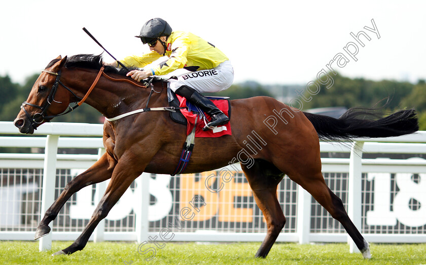 Beringer-0008 
 BERINGER (Martin Harley) wins The Beck Handicap
Sandown 15 Jun 2018 - Pic Steven Cargill / Racingfotos.com