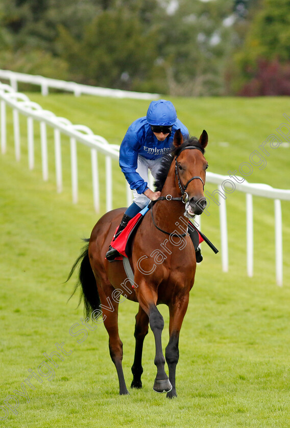 Arabian-Crown-0009 
 ARABIAN CROWN (William Buick) winner of The Martin Densham Memorial British EBF Maiden Stakes
Sandown 27 Jul 2023 - Pic Steven Cargill / Racingfotos.com