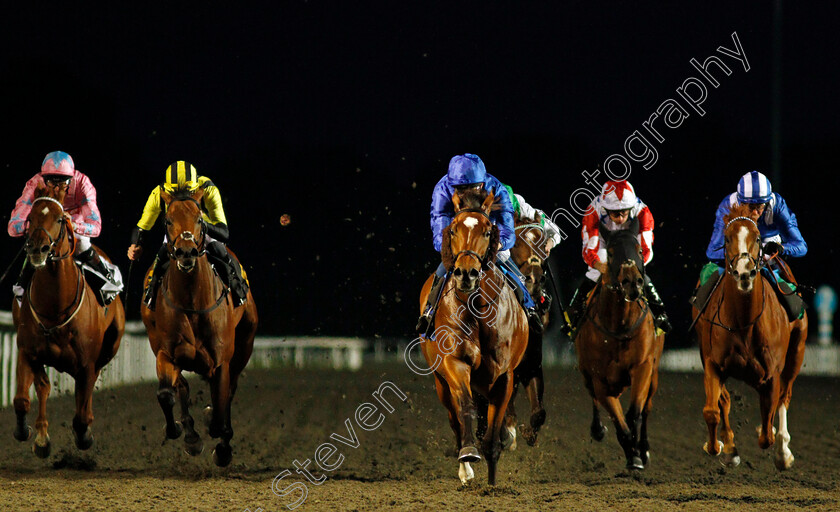 Royal-Crusade-0002 
 ROYAL CRUSADE (centre, William Buick) beats TABDEED (right) and BAHRAIN PRIDE (2nd left) in The ebfstallions.com Conditions Stakes
Kempton 6 Oct 2021 - Pic Steven Cargill / Racingfotos.com