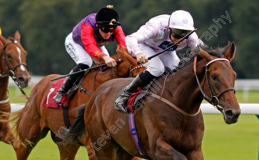 Pleasant-Man-0006 
 PLEASANT MAN (Jason Watson) wins The Betfair Free Bet Streak EBF Novice Stakes
Haydock 3 Sep 2020 - Pic Steven Cargill / Racingfotos.com