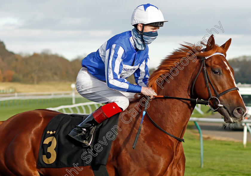 Fantastic-Fox-0002 
 FANTASTIC FOX (David Egan)
Nottingham 4 Nov 2020 - Pic Steven Cargill / Racingfotos.com