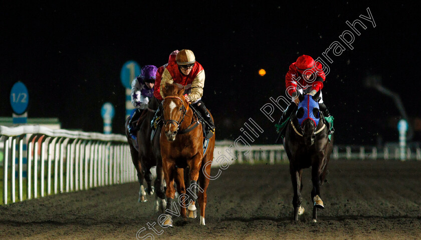 Twilight-Madness-0001 
 TWILIGHT MADNESS (Hollie Doyle) beats KEVIN THE MINION (right) in The Unibet New Instant Roulette Handicap
Kempton 3 Feb 2021 - Pic Steven Cargill / Racingfotos.com