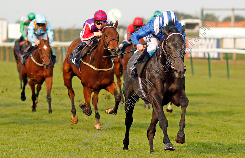 Mutafarrid-0001 
 MUTAFARRID (Jim Crowley) wins The Paul Gill 70th Birthday Nursery Yarmouth 16 Oct 2017 - Pic Steven Cargill / Racingfotos.com