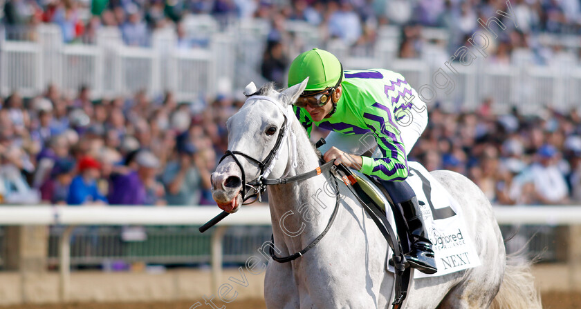 Next-0002 
 NEXT (Luan Machado) wins The Thoroughbred Aftercare Alliance Marathon
Breeders Cup Meeting, Keeneland USA, 4 Nov 2022 - Pic Steven Cargill / Racingfotos.com