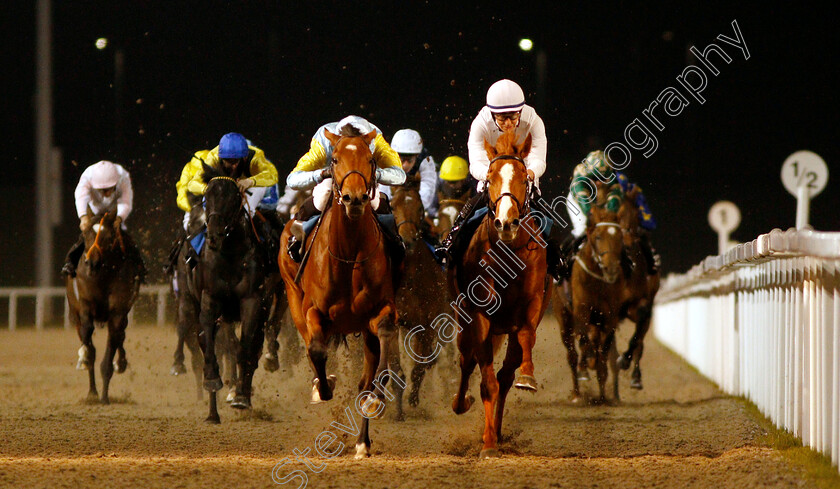 Tauteke-0004 
 TAUTEKE (left, Jim Crowley) beats SO HIGH (right) in The Irish Lotto At totesport.com British EBF Novice Stakes
Chelmsford 29 Nov 2018 - Pic Steven Cargill / Racingfotos.com