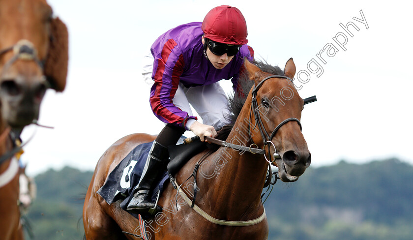 Jungle-Juice-0006 
 JUNGLE JUICE (Callum Shepherd) wins The Floyds Turfcare And Weedcare Solutions Handicap
Chepstow 2 Jul 2019 - Pic Steven Cargill / Racingfotos.com