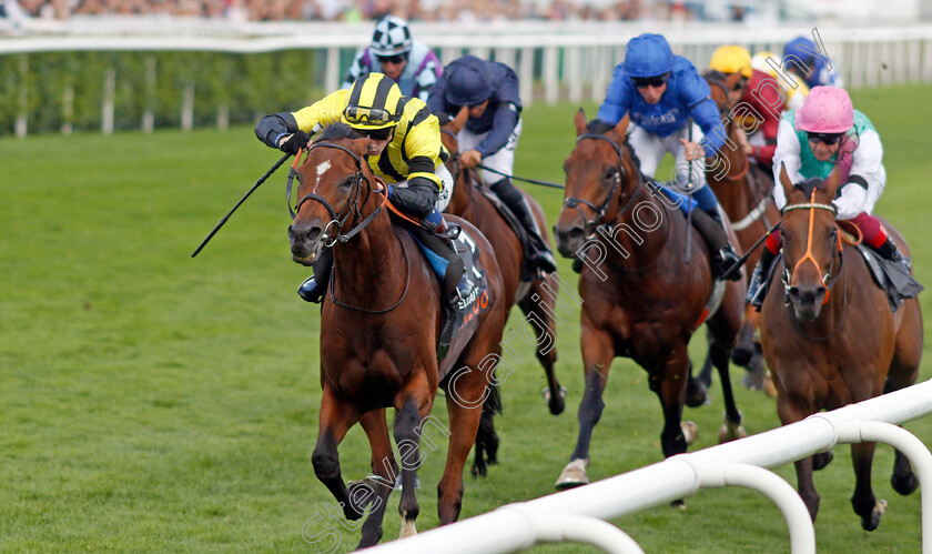 Eldar-Eldarov-0007 
 ELDAR ELDAROV (David Egan) wins The Cazoo St Leger Stakes
Doncaster 11 Sep 2022 - Pic Steven Cargill / Racingfotos.com