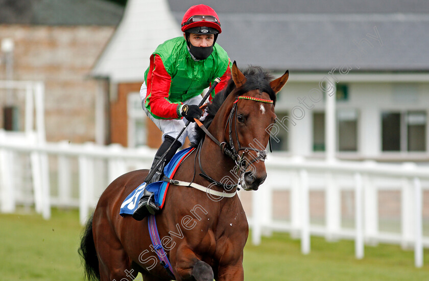 Turaco-0001 
 TURACO (Charles Bishop)
Salisbury 1 Oct 2020 - Pic Steven Cargill / Racingfotos.com