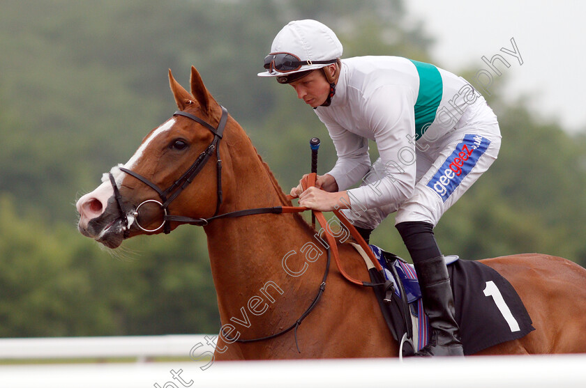 Shailene-0001 
 SHAILENE (David Probert)
Chelmsford 31 May 2018 - Pic Steven Cargill / Racingfotos.com