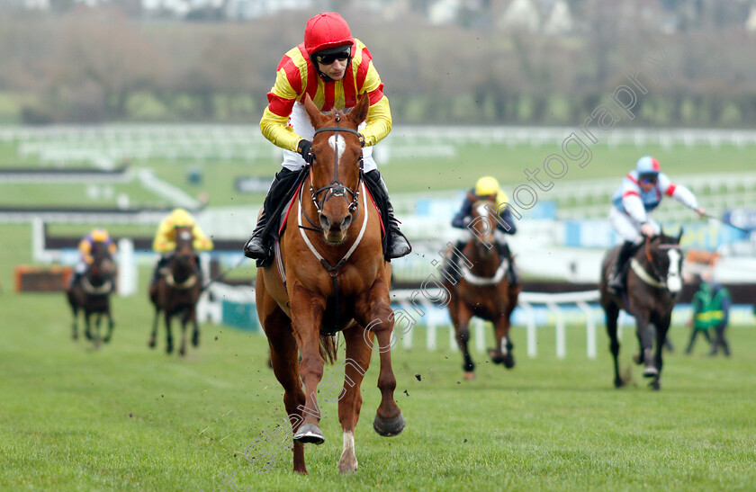 Jarveys-Plate-0006 
 JARVEYS PLATE (Paddy Brennan) wins The Ballymore Novices Hurdle
Cheltenham 1 Jan 2019 - Pic Steven Cargill / Racingfotos.com