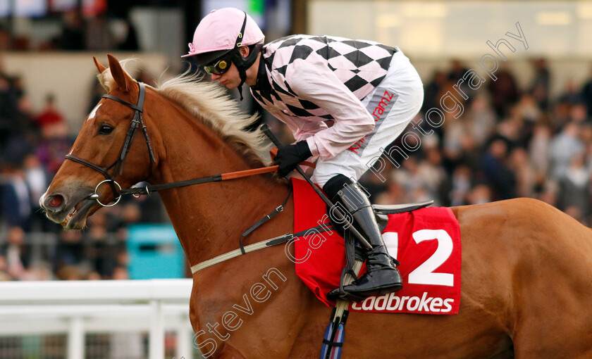 Secret-Squirrel-0002 
 SECRET SQUIRREL (David Bass)
Ascot 21 Dec 2024 - Pic Steven Cargill / Racingfotos.com