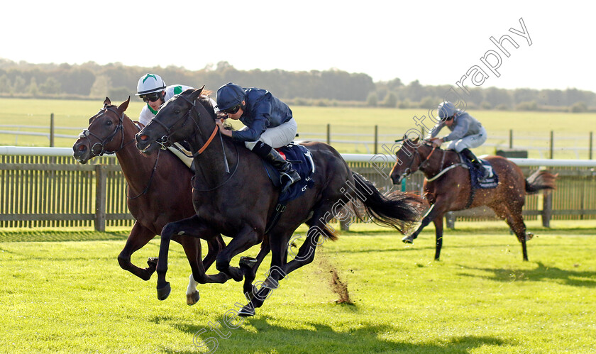 Accumulate-0003 
 ACCUMULATE (Ryan Moore) beats AL SHABAB STORM (farside) in The Al Basti Equiworld Dubai British EBF Confined Maiden Stakes Div1
Newmarket 29 Sep 2023 - Pic Steven Cargill / Racingfotos.com