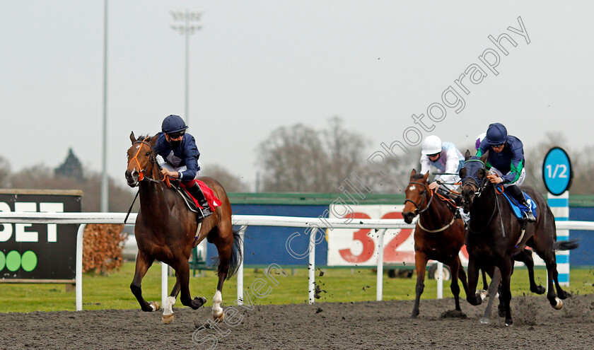 Cuban-Cigar-0002 
 CUBAN CIGAR (Thore Hammer Hansen) wins The Unibet Casino Deposit £10 Get £40 Bonus Handicap Div2
Kempton 31 Mar 2021 - Pic Steven Cargill / Racingfotos.com