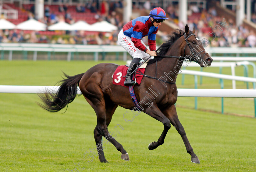 Power-Of-Beauty-0001 
 POWER OF BEAUTY (Tom Marquand)
Haydock 4 Sep 2021 - Pic Steven Cargill / Racingfotos.com