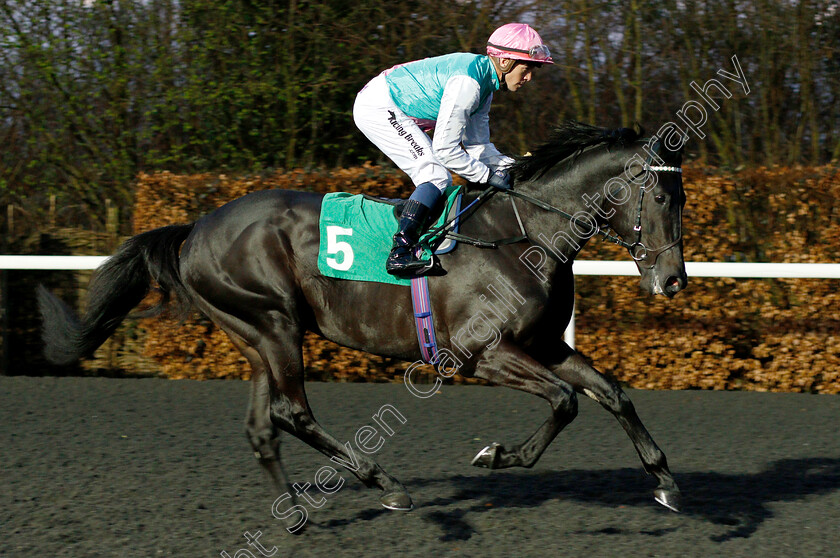 Ironclad-0002 
 IRONCLAD (Jim Crowley)
Kempton 6 Mar 2019 - Pic Steven Cargill / Racingfotos.com