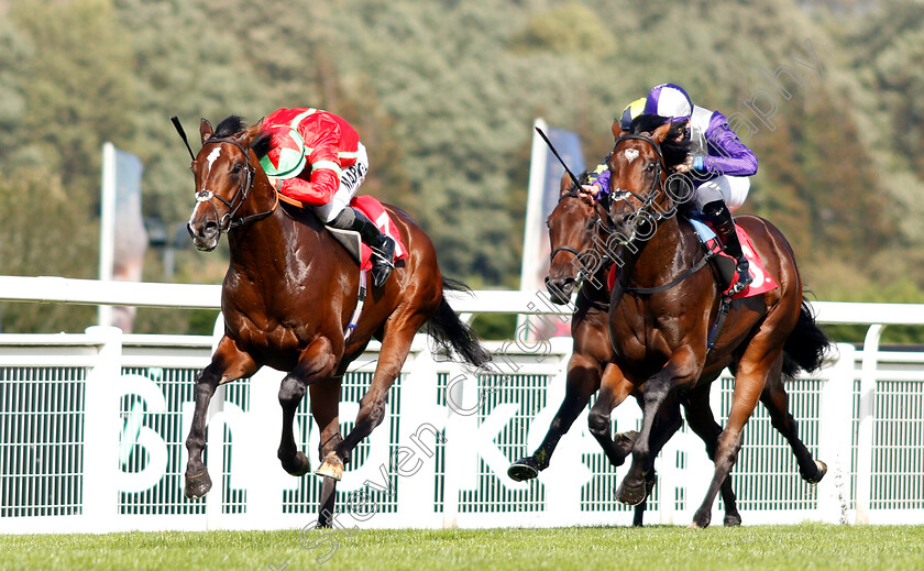 Flying-Dragon-0005 
 FLYING DRAGON (Tom Marquand) beats DAMON RUNYON (right) in The Smarkets EBF Novice Stakes
Sandown 19 Sep 2018 - Pic Steven Cargill / Racingfotos.com