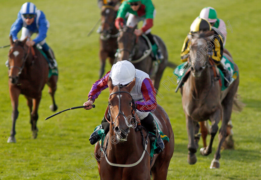 Laurens-0006 
 LAURENS (P J McDonald) wins The bet365 Fillies Mile Newmarket 13 Oct 2017 - Pic Steven Cargill / Racingfotos.com