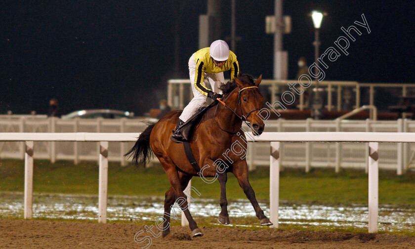 Father-Of-Jazz-0004 
 FATHER OF JAZZ (Callum Shepherd) wins The Racing Welfare Novice Stakes
Chelmsford 14 Jan 2021 - Pic Steven Cargill / Racingfotos.com