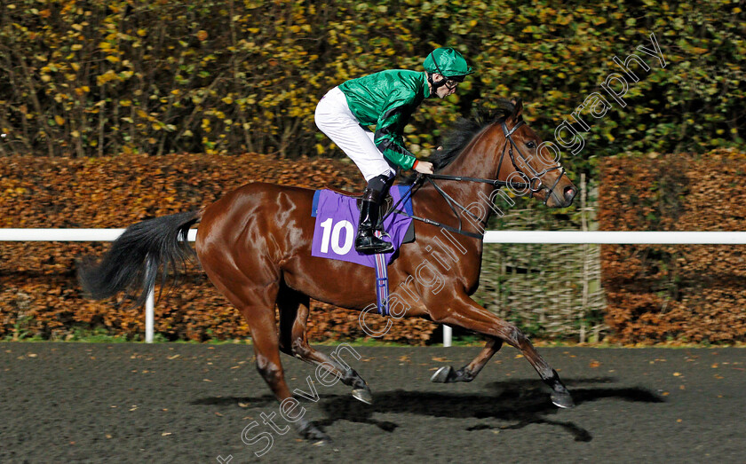 Jal-Mahal-0001 
 JAL MAHAL (Robert Havlin) Kempton 22 Nov 2017 - Pic Steven Cargill / Racingfotos.com