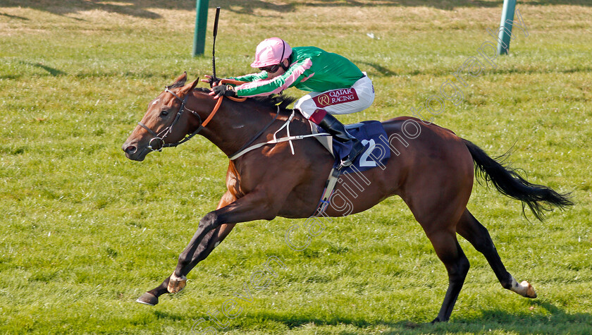 Gobi-Sunset-0003 
 GOBI SUNSET (Oisin Murphy) wins The Ken Lindsay Memorial Nursery
Yarmouth 19 Sep 2019 - Pic Steven Cargill / Racingfotos.com