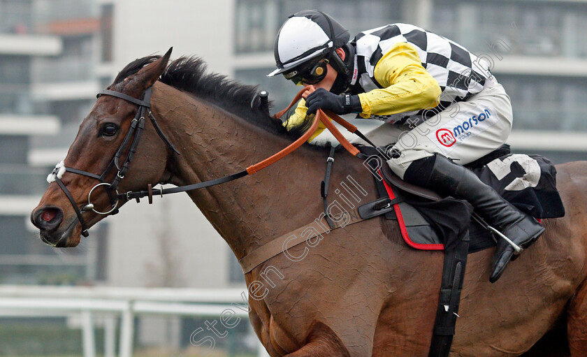 Next-Destination-0006 
 NEXT DESTINATION (Harry Cobden) wins The Ladbrokes John Francome Novices Chase
Newbury 28 Nov 2020 - Pic Steven Cargill / Racingfotos.com