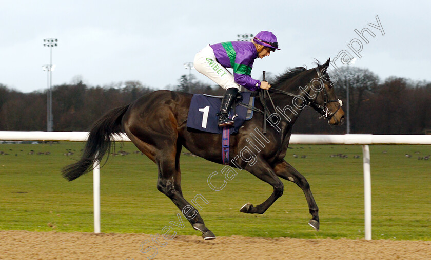 Heavenly-Holly-0003 
 HEAVENLY HOLLY (Josephine Gordon) winner of The sunracing.co.uk Novice Stakes
Wolverhampton 28 Nov 2018 - Pic Steven Cargill / Racingfotos.com