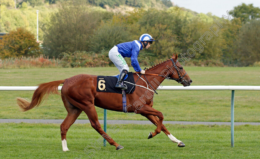 Janoobi 
 JANOOBI (Jason Hart)
Nottingham 13 Oct 2021 - Pic Steven Cargill / Racingfotos.com