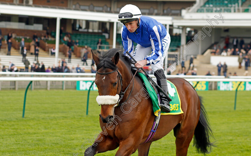 Hi-Royal-0003 
 HI ROYAL (Ryan Moore)
Newmarket 18 Apr 2023 - Pic Steven Cargill / Racingfotos.com