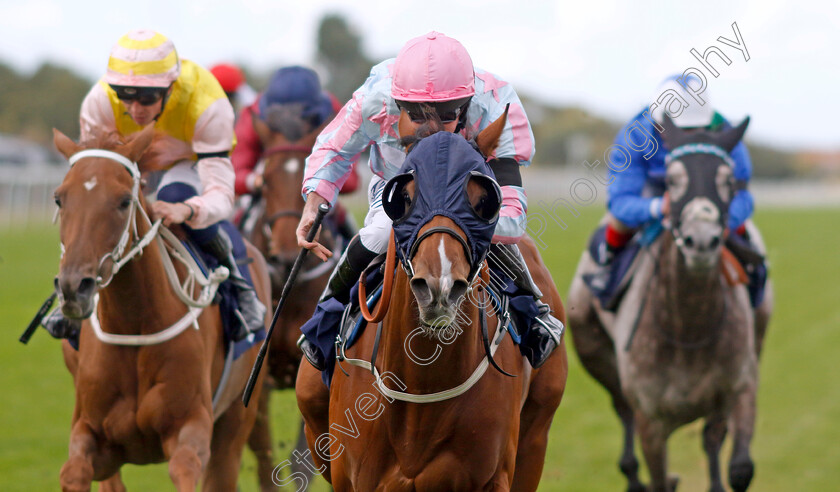 Bellstreet-Bridie-0001 
 BELLSTREET BRIDIE (Ryan Moore) wins The British EBF Premier Fillies Handicap
Yarmouth 15 Sep 2022 - Pic Steven Cargill / Racingfotos.com