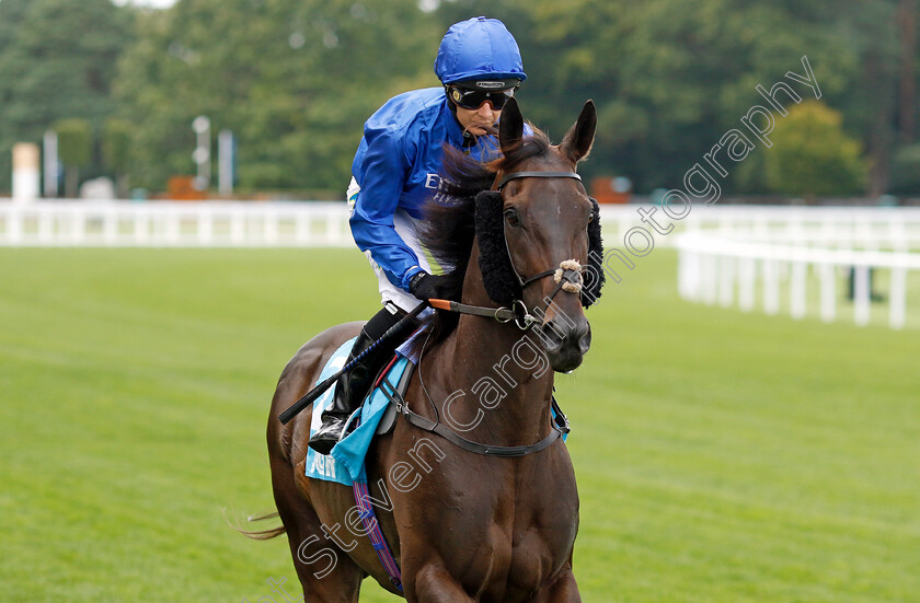 Global-Heat-0002 
 GLOBAL HEAT (Hayley Turner)
Ascot 26 Jul 2024 - Pic Steven Cargill / Racingfotos.com