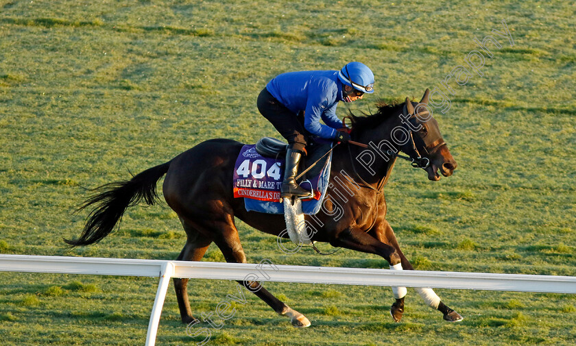 Cinderella s-Dream-0001 
 CINDERELLA'S DREAM training for the Breeders' Cup Filly & Mare Turf
Del Mar USA 30 Oct 2024 - Pic Steven Cargill / Racingfotos.com