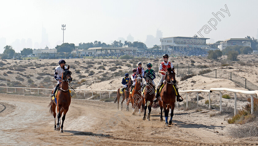 Jebel-Ali-0001 
 Horses walk to the start at Jebel Ali, Dubai 9 Feb 2018 - Pic Steven Cargill / Racingfotos.com