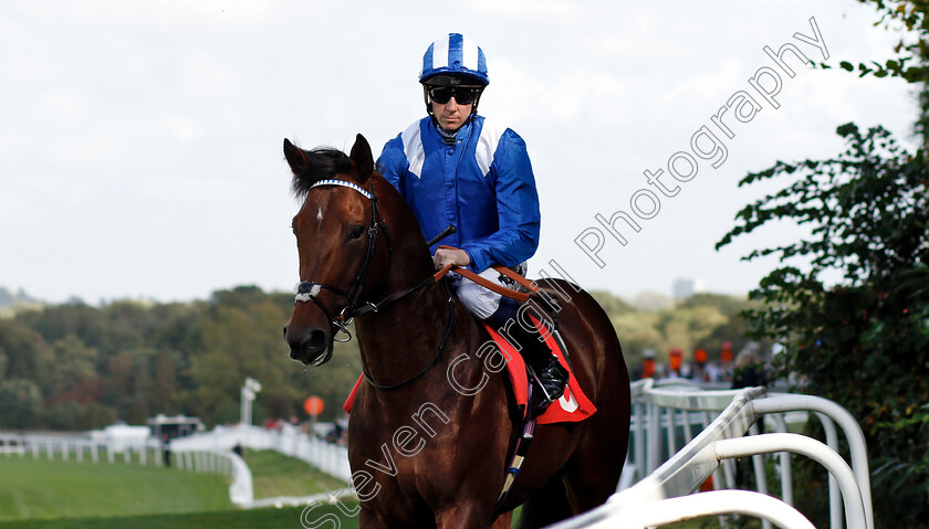 Wadilsafa-0001 
 WADILSAFA (Jim Crowley) before winning The Smarkets Fortune Stakes
Sandown 19 Sep 2018 - Pic Steven Cargill / Racingfotos.com