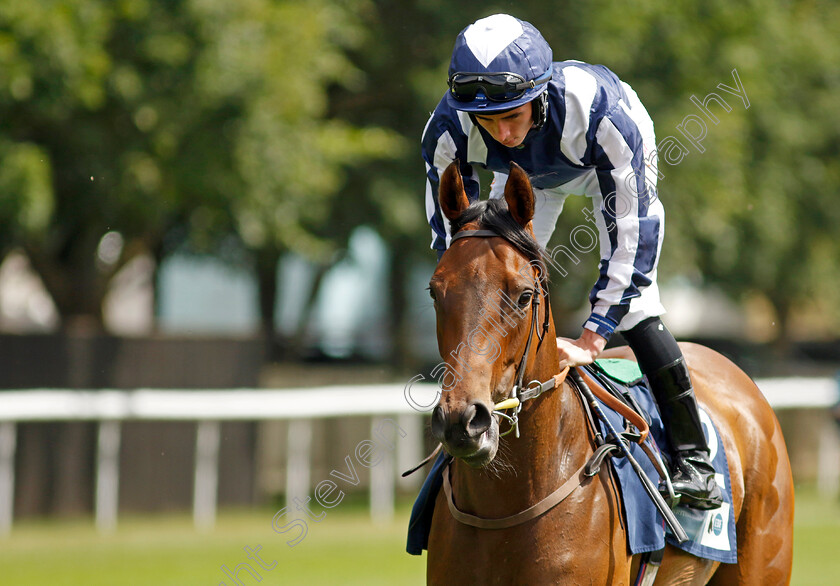 Immortal-Beauty-0002 
 IMMORTAL BEAUTY (Rossa Ryan) winner of The British Stallion Studs EBF Fillies Nursery 
Newmarket 30 Jul 2022 - Pic Steven Cargill / Racingfotos.com