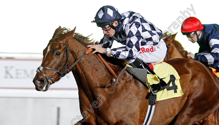 Roman-Spinner-0004 
 ROMAN SPINNER (Luke Morris) wins The Close Brothers Business Finance Nursery Kempton 22 Nov 2017 - Pic Steven Cargill / Racingfotos.com