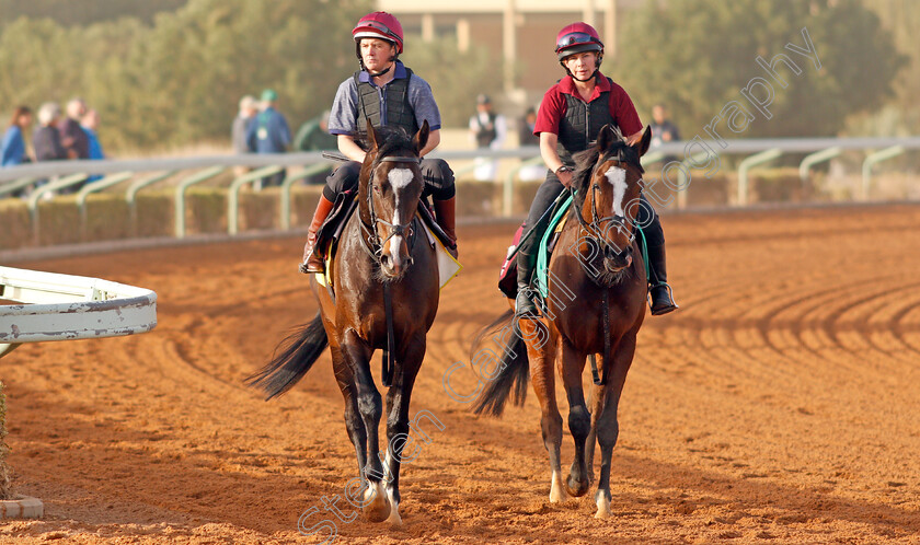 Mount-Everest-and-Magic-Wand-0003 
 MOUNT EVEREST (left) and MAGIC WAND (right) preparing for The Saudi Cup day
Riyadh Racetrack, Kingdom Of Saudi Arabia, 27 Feb 2020 - Pic Steven Cargill / Racingfotos.com