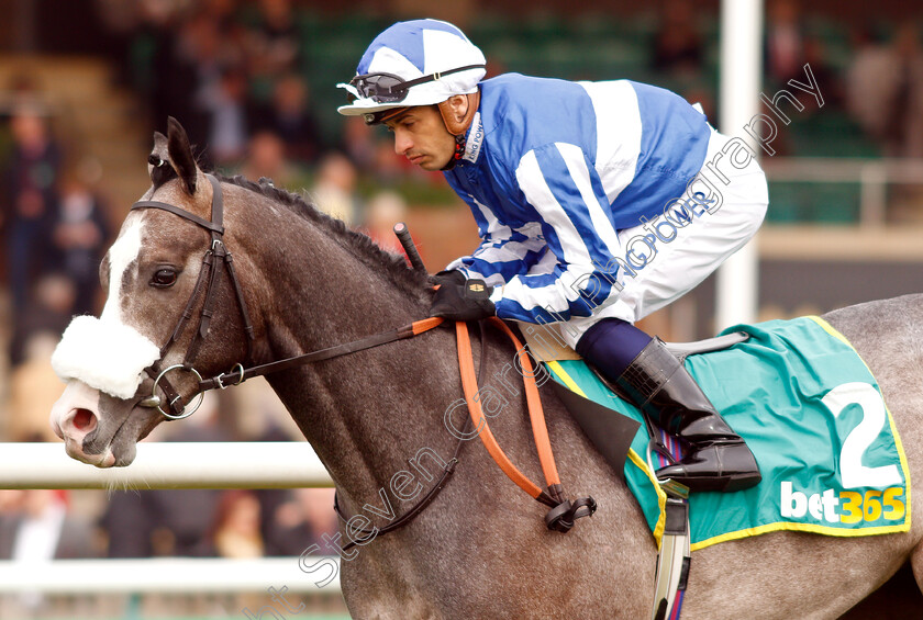 Shine-So-Bright-0001 
 SHINE SO BRIGHT (Silvestre De Sousa) winner of The bet365 European Free Handicap
Newmarket 16 Apr 2019 - Pic Steven Cargill / Racingfotos.com